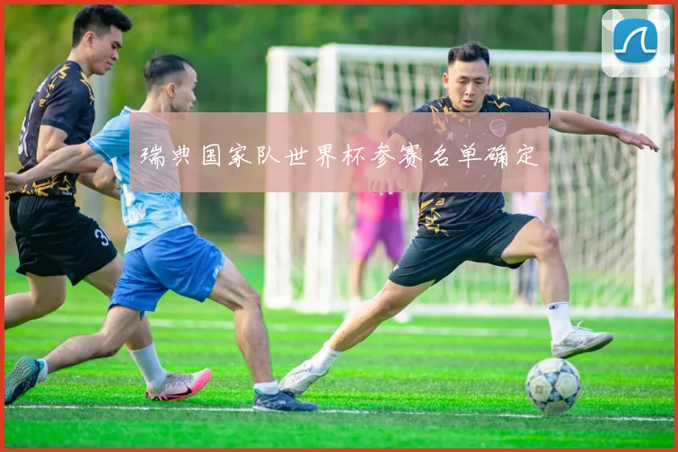 瑞典国家队世界杯参赛名单确定