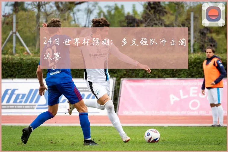 24日世界杯预测：多支强队冲击淘汰赛
