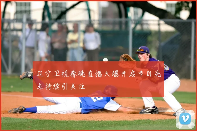 辽宁卫视春晚直播火爆开启节目亮点持续引关注