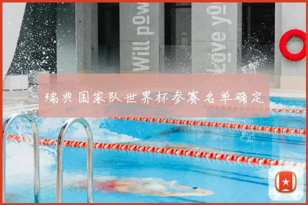 瑞典国家队世界杯参赛名单确定